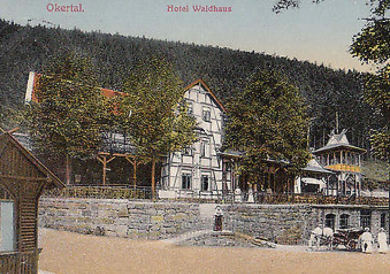 Hotel Waldhaus im Okertal Goslar Exterior foto